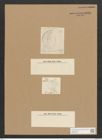 Campylodiscus crebrecostatus Grev. (de-Toni-Nr.: Genus 57, Species 2449) Zeichnungen Sammlung Grunow Nr. 4926 (NHMW-BOT-W0373136)